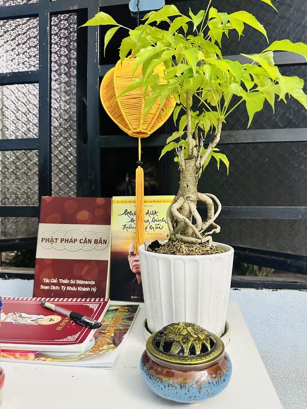 Lư Gốm Xông Trầm ( Giao Màu ngẫu nhiên) -  Đồ trang trí 2