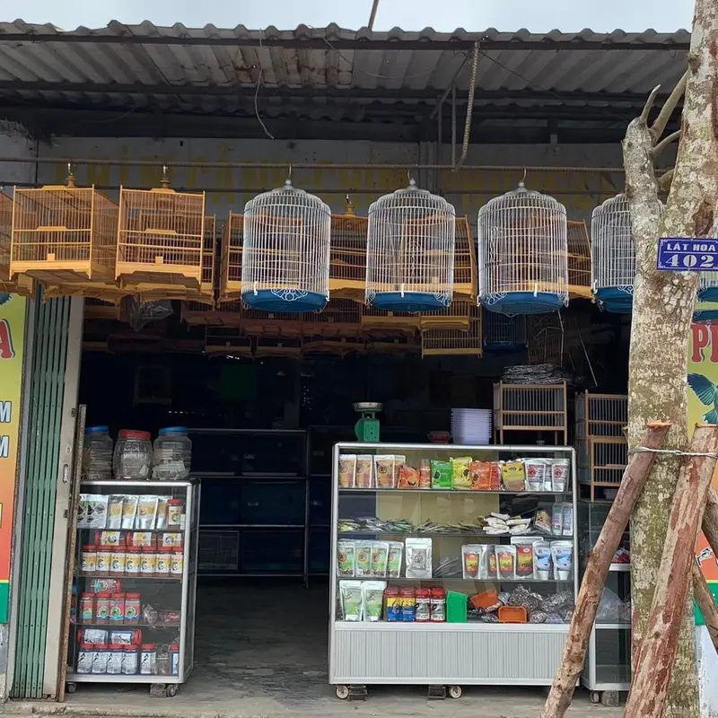 Cám chim chào mào cao cấp Nghĩa 7 5 cho thi đấu - Sản phẩm thiên nhiên giúp chim khỏe mạnh và ít bệnh tật 3