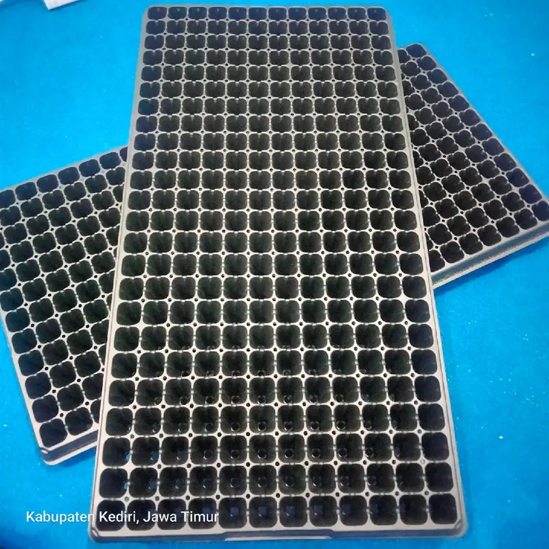5 pcs tre semai lubang 200 x 5 pcs = 1000 lubang tanam praktis dan efektif 0