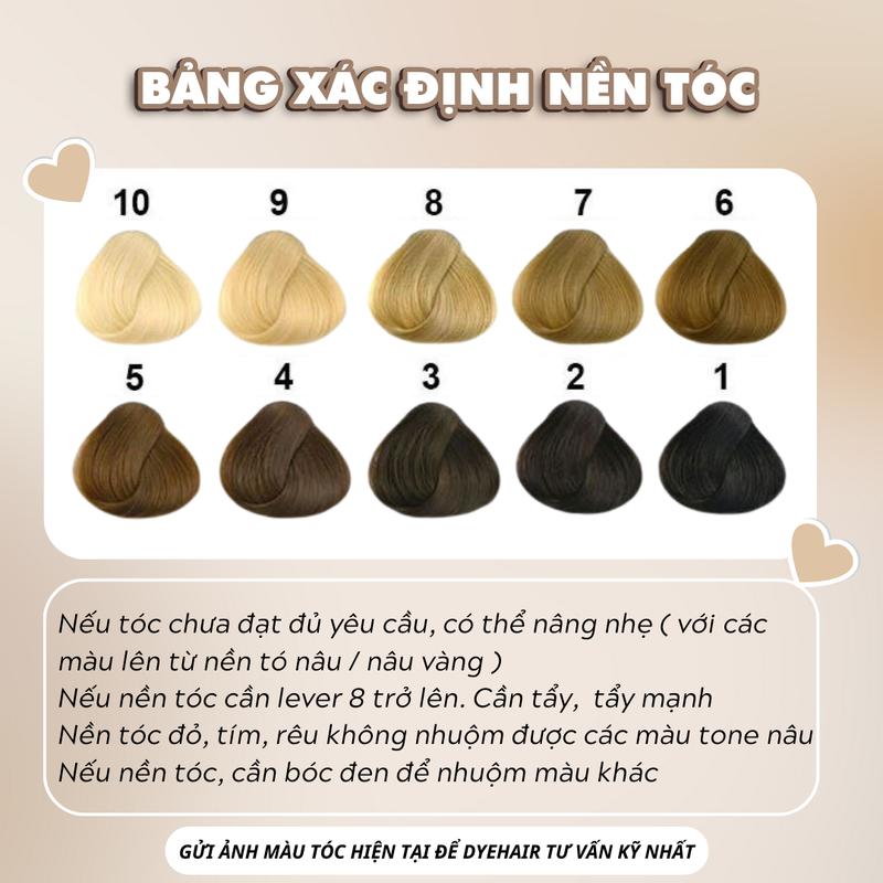 Product Introduction of Thuốc nhuộm tóc, thuốc nhuộm tóc ĐEN TỰ NHIÊN, DYE HAIR, tặng kèm oxy trợ dưỡng và bao tay 20