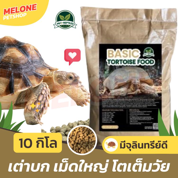 [ล็อตใหม่] Basic Tortoise Food อาหารเต่าบก เม็ดใหญ่ เต่าใหญ่ - TikTok ...