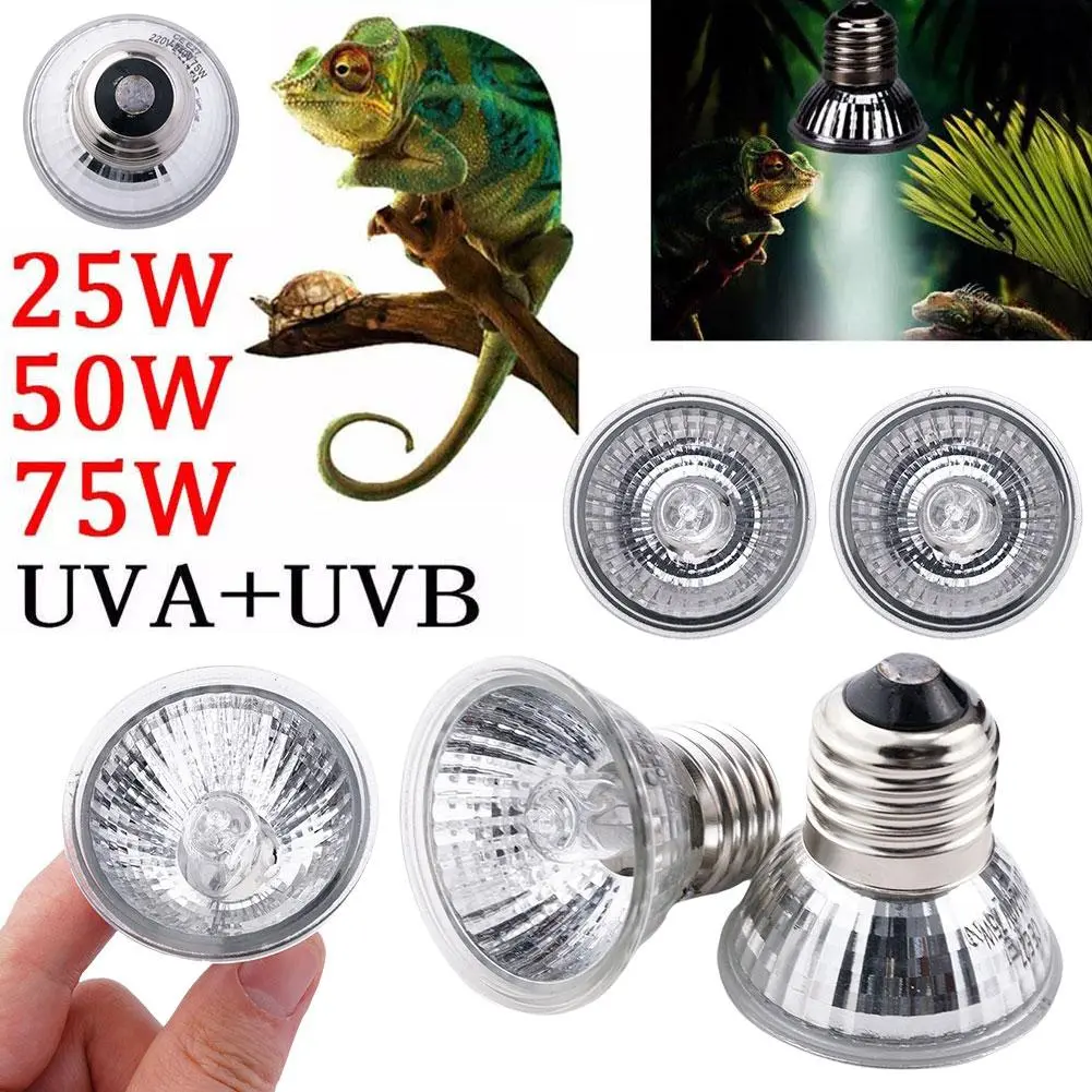 Đèn sưởi và cách nhiệt, vật liệu hợp kim, Liệu pháp tia cực tím sóng dài, bóng đèn cho thú cưng phát triển, chạy bằng năng lượng mặt trời, 1 cái, E7Y8
