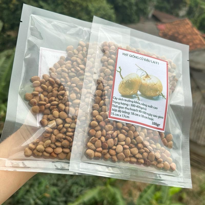 100 gram hạt giống củ đậu khoảng 550 hạt 3.5 tháng thu hoạch