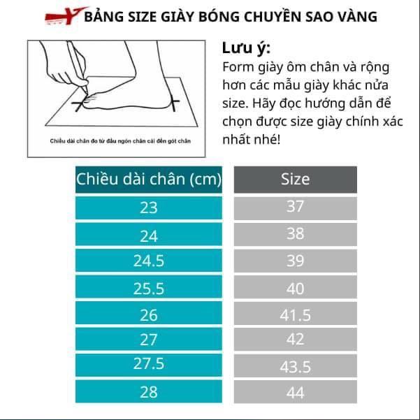Product Introduction of Giày Bóng Chuyền Sao Vàng 301 - Cày Bê Tông, Sneaker Thể Thao - Sport 0