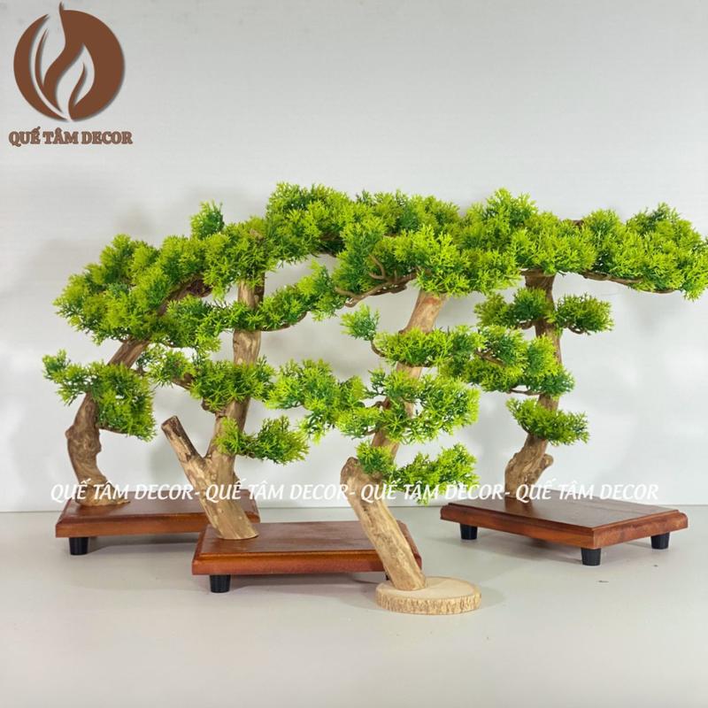 Cây bonsai trang trí tiểu cảnh tượng phật, thác lũa , bàn làm việc, bàn trà , góc tu tập , chụp ảnh hoặc hồ cá thủy sinh