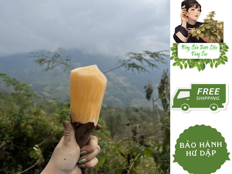 Khoai Sâm đất củ Size Vừa Giòn Ngon- Food- Đóng thùng 5kg