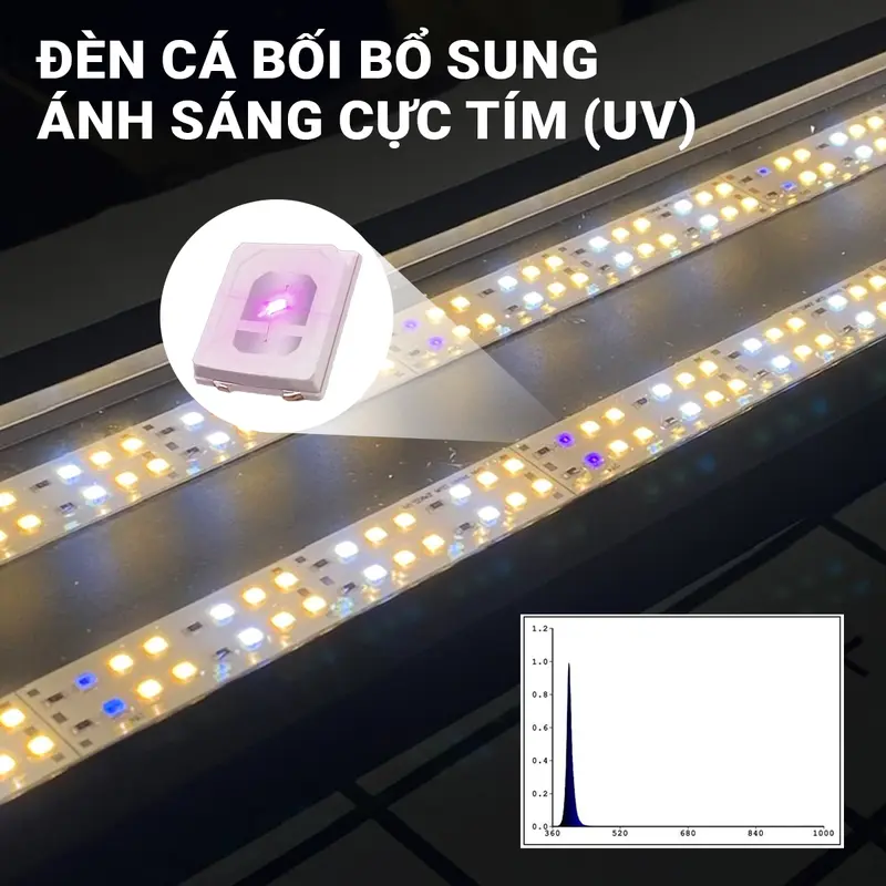 Đèn Thanh Cá Bối Zako Siêu Sáng-1.5M 3