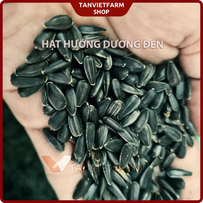 1 kg Hạt hướng dương đen NHỎ , hạt SỐNG cho thú cưng (vẹt, sóc, hamster..) Snack Ăn Vặt 2