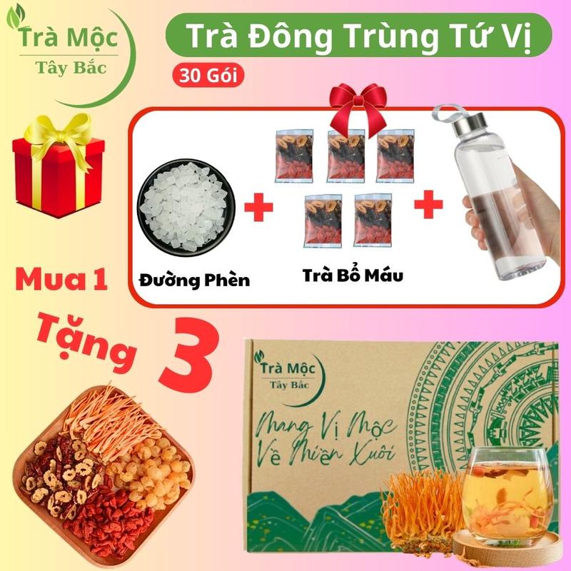   Mua 1 Tặng 3  Hộp 30 gói trà đông trùng tứ vị tặng bình tặng 5 gói bổ máu tặng đường phèn thơm ngon 4 vị thảo mộc Tây Bắc  Tea chè  nấm đông trùng hạ thảo táo đỏ kỷ tử long nhãn  bổ dưỡng 