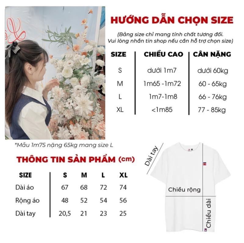 Product Introduction of Áo Phông Dis Que Phối Viền Cổ Xanh Siêu Chất - Áo Thun Nam Nữ Cao Cấp 0