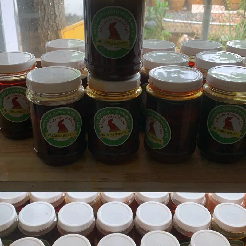 Nghệ xà cừ ngâm nguyên chất cho gà đá 2