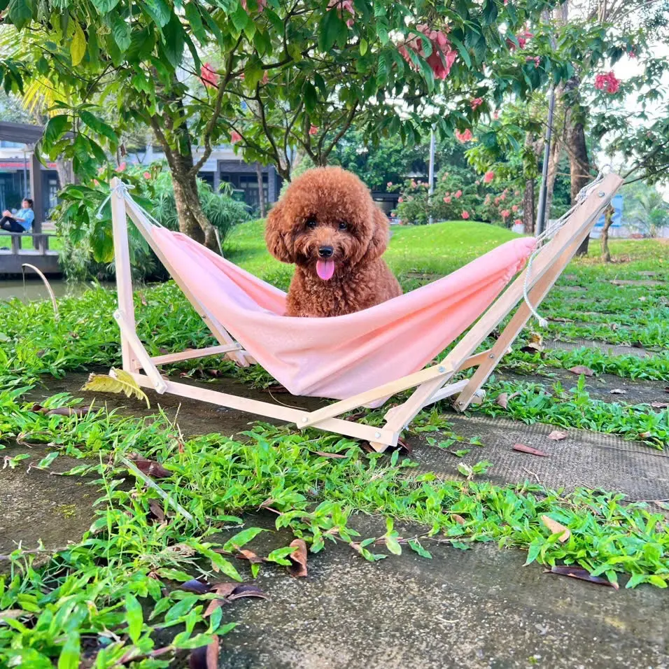 Võng cho thú cưng nhà Bông Báo