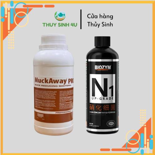 Bộ vi sinh cho bể cá Vàng, cá Chép Biozym N1 và Muckaway
