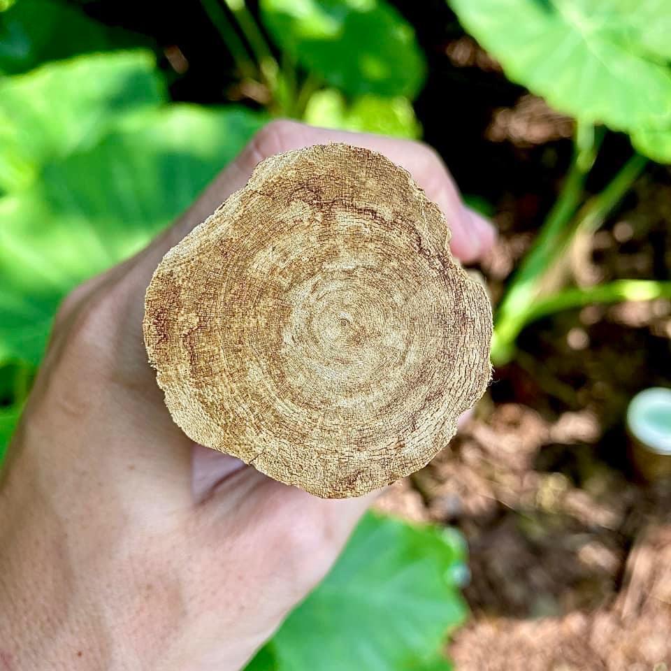 f0bd623ac24d4bb9940f30ab8e49d663~tplv o3syd03w52 origin jpeg