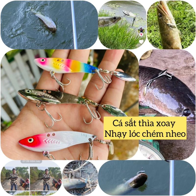  Cá sắt có thìa xoay nhạy cá khối lượng nặng 7-10-14gam nhiều lựa chọn   có 2 action rung lắc và từ thìa xoay    Fishing Bắt Cá Đi Câu Câu Cá cá  sắt 