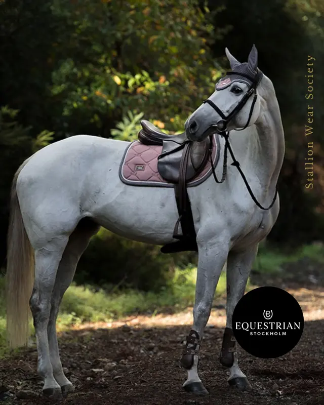 jump saddlepad alas duduk kuda dan ear bonner stockholm olahraga berkuda horse riding 6