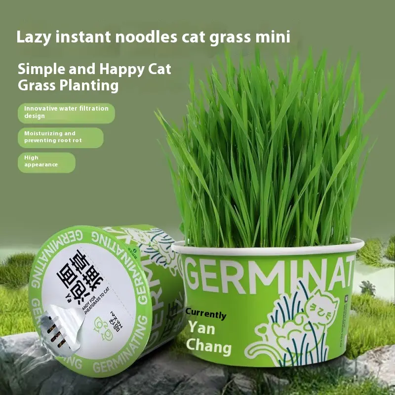 Cat Grass Pot Lazy Planting Cat Grass Cup Cat Grass Seed Catnip Hair Self-Planting Cat Grass Snacks Instant Noodle Grass