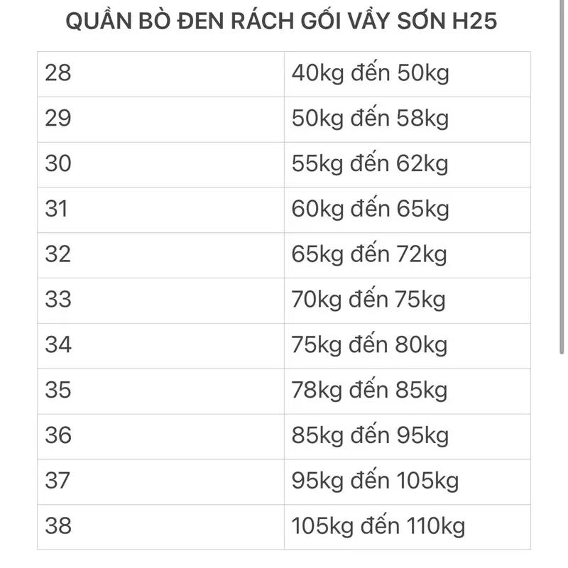 Quần bò H26 đen bạc rách vẩy sơn có bigsize từ 28 đến 38 dyminic 7
