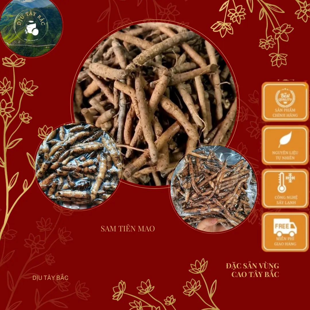 Thảo mộc Tiên Mao - Đặc Sản Đồ Ngâm Tây Bắc Nước Trà Tea Chè