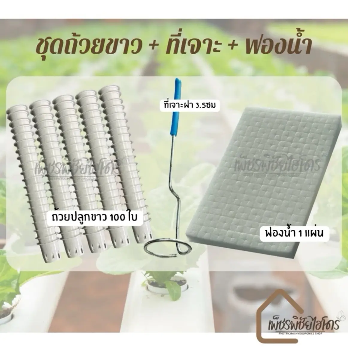 ถ้วยปลูกผักไฮโดรโปนิกส์ 100,200 ใบ มีเซ็ตให้เลือก มีสีถ้วยให้เลือก ขาว,ดำ