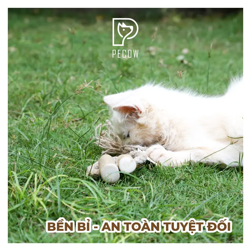 Pet Chew Stick - Đồ chơi cho thú cưng thắt nút bằng gỗ cà phê và dây thừng bản 3 cục Size L cat toys 1