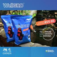 Gambar WellGrow pelet Pakan Ikan Koi Well grow size L kemasan 2kg dari Mayjen Kota Tangerang 3 Tokopedia