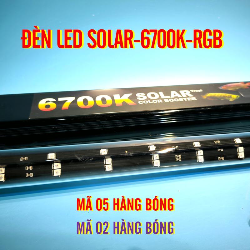   ĐÈN LED SOLAR  CÓ 02 MÃ: MÃ 5 HÀNG BÓNG và MÃ 2 HÀNG BÓNG LED SOLAR ÁNH SÁNG 6700K-RGB DÀNH CHO HỒ CÁ CẢNH TANING HUYẾT LONG QUÁ BỐI CÁ RỒNG CHÉM SƯ TỬ PHI TẦN CÁ LÓC VÀ CÁ HỒ CỘNG ĐỒNG đèn  cho  giả  lập  ánh  sáng  mặt  trời ngâm nước 