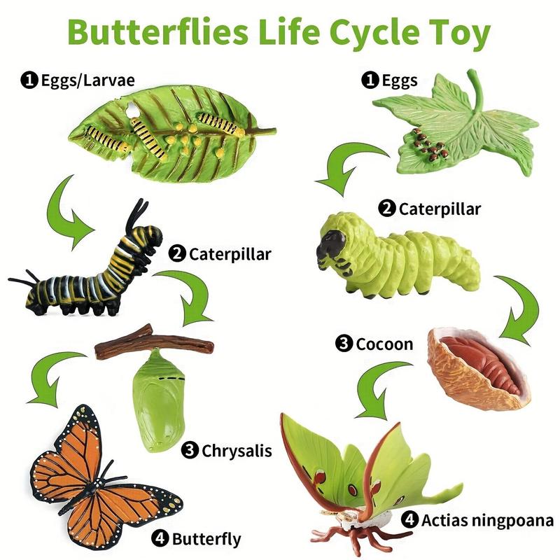 8pcs/set Butterfly Life Cycle Toy, Cute Model Caterpillar Butterfly, Montessori Early Childhood Education Toy 1