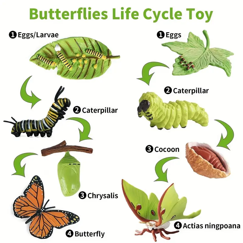 8pcs/set Butterfly Life Cycle Toy, Cute Model Caterpillar Butterfly, Montessori Early Childhood Education Toy 1