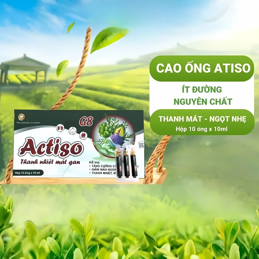 Cao Ống Atiso Ít Đường G8 Ammu Hỗ Trợ Mát Gan Thanh Lọc Cơ Thể Hộp 10 Ống x 10ml