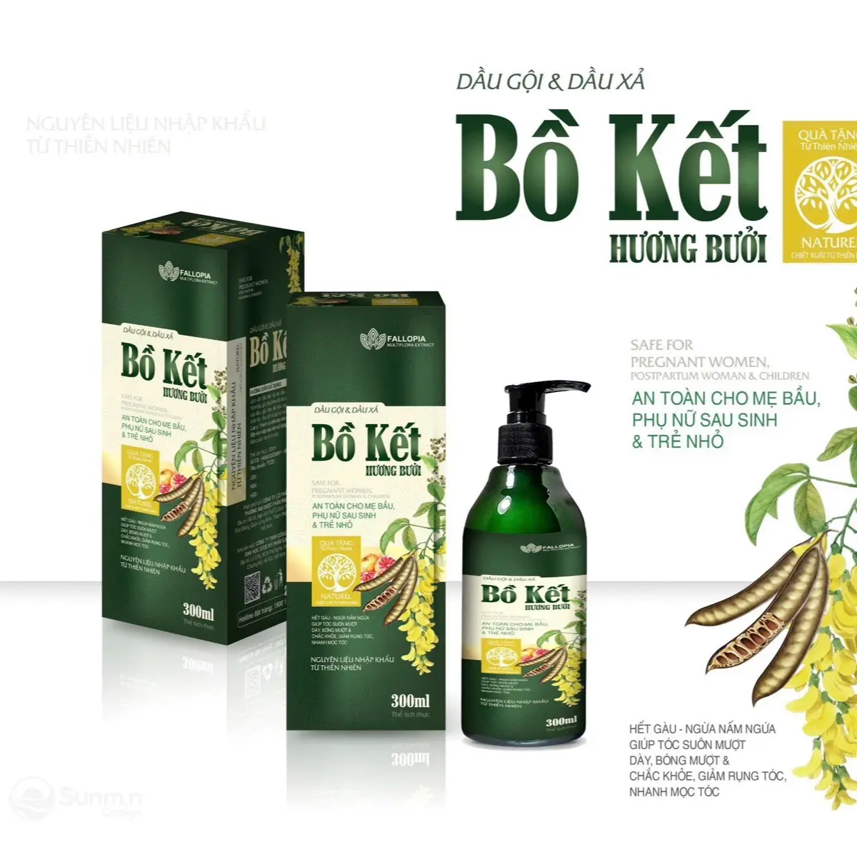 Dầu gội và Xả Chống Rụng Tóc Bồ Kết Hương Bưởi Greenhealth