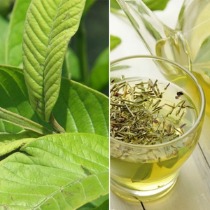 TN Trà Từ Thiên Nhiên