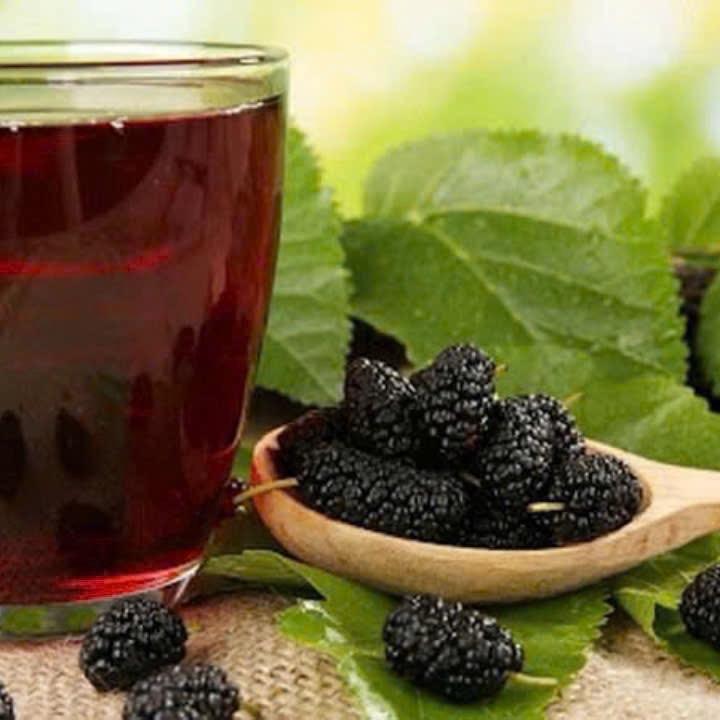Dâu Tằm Sấy Khô ( Lọ 500g ) 4