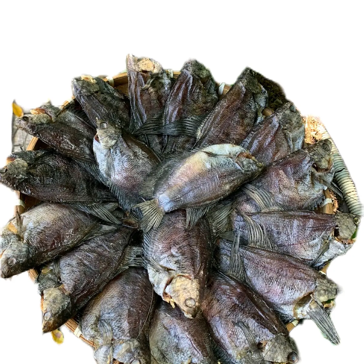 Khô sặc bổi bao lạt, ngon không mặn (loại xô 15-19 con kí)