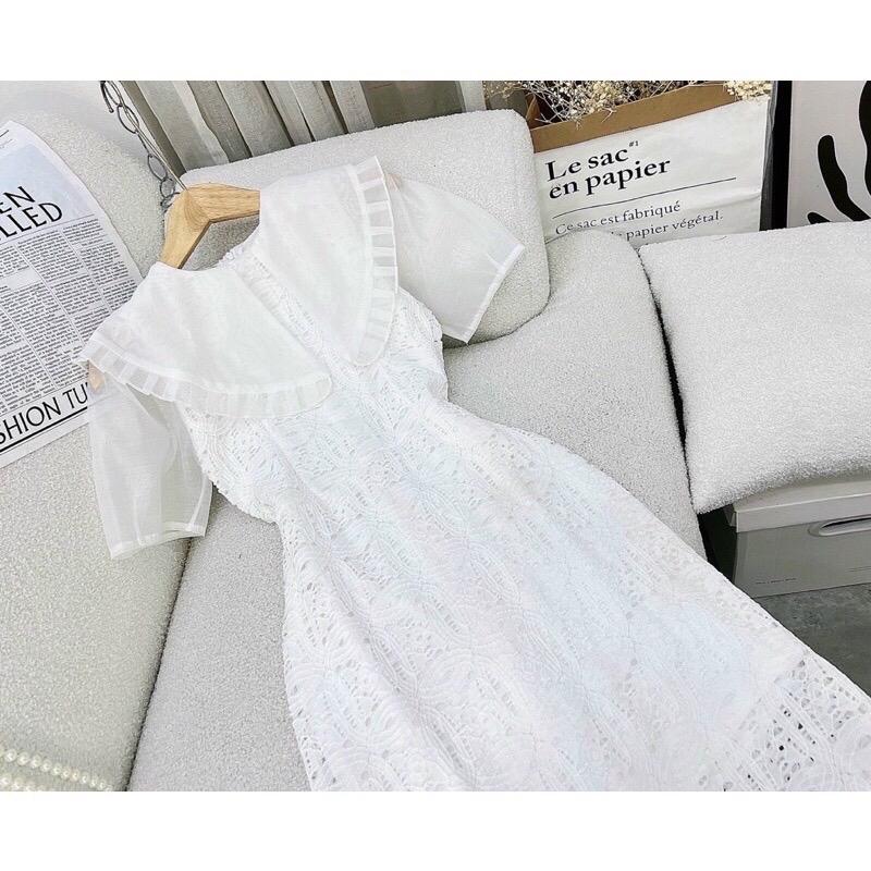 Đầm body ren phối cổ bèo 3