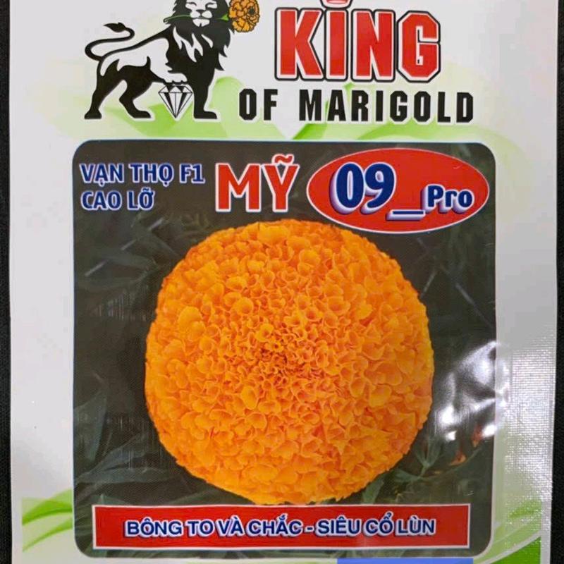 hạt giống hoa vạn thọ rồng vàng 09 gói 50 hạt.