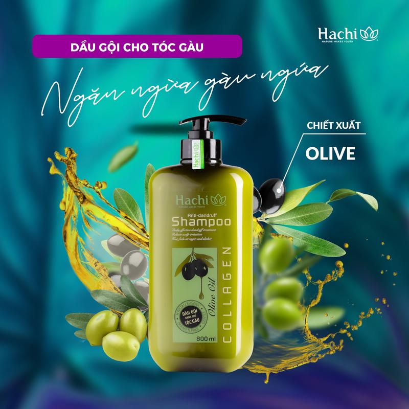 Dầu gội dành cho tóc gàu Anti-Dandruff Hachi chiết xuất từ Olive dung tích 350ml 500ml và 800ml Dưỡng Tóc Nữ Women