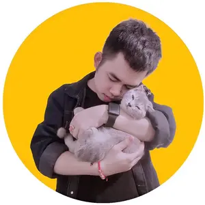 Gia Đình Mèo Thị Gấu