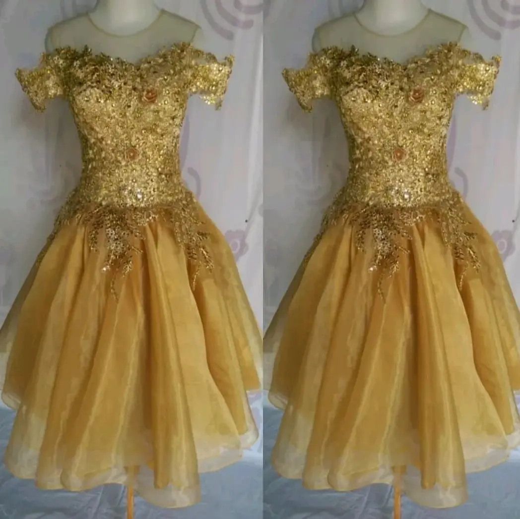 Baju Penyanyi Mini Dress Baju Pesta Dress Murah Bunga