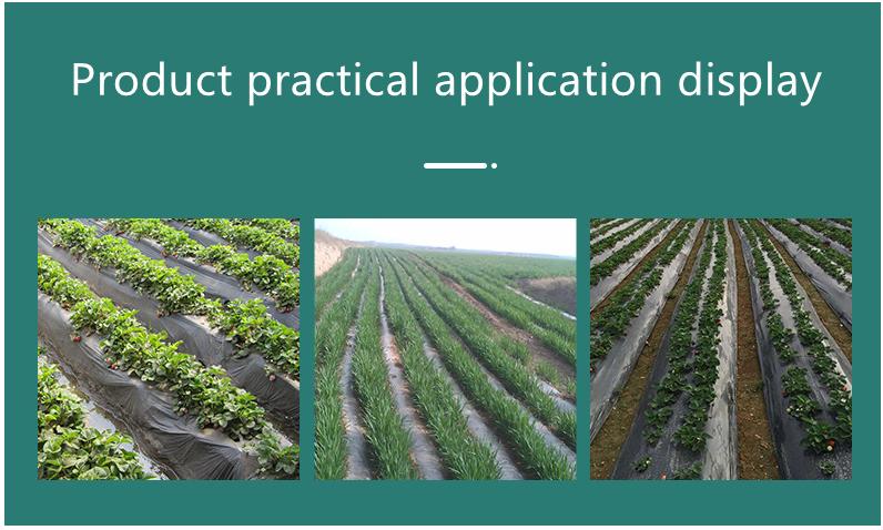 Product Introduction of High-quality plastic mulch (2.62 feet wide x 500meters long x 10 microns thick) 1 roll (silver black) 5