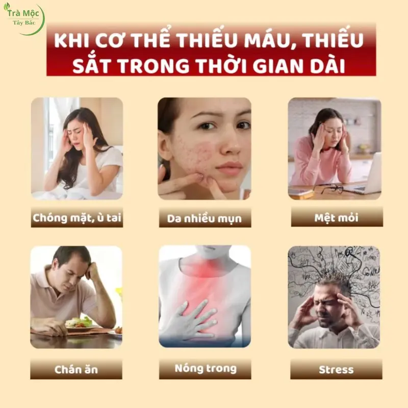 Hộp 30 gói Vip TẶNG CỐC DA Cao Cấp trà bổ máu dưỡng huyết mát gan thải độc - nguyên liệu hữu cơ táo đỏ kỉ tử hắc kỉ tử dầu tằm đường phèn thảo mộc Tây Bắc , tea chè 3