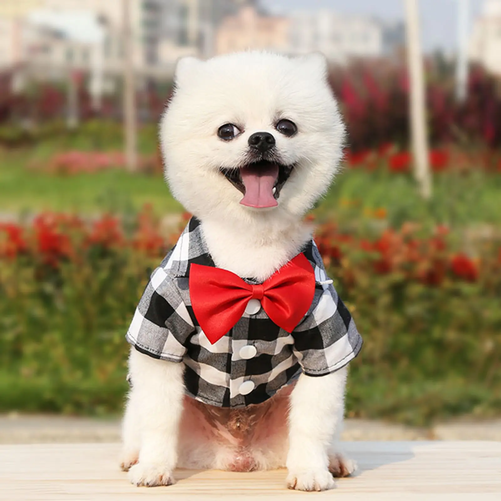 Daiditi-Pet T-Shirt Plaid Printing Bow-knot Decor Polyester Turndown Collar Dog Costume Shirt for Daily Life
