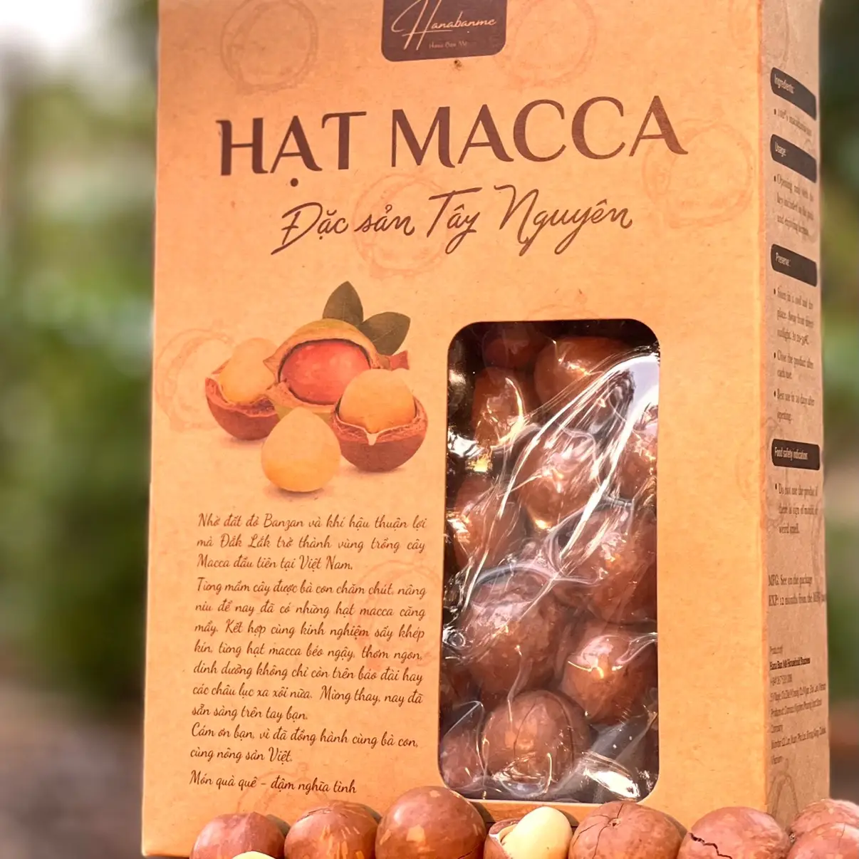 Hạt Macca Đắk Lắk size đại Hana Ban Mê ( mới sấy, size >26mm)