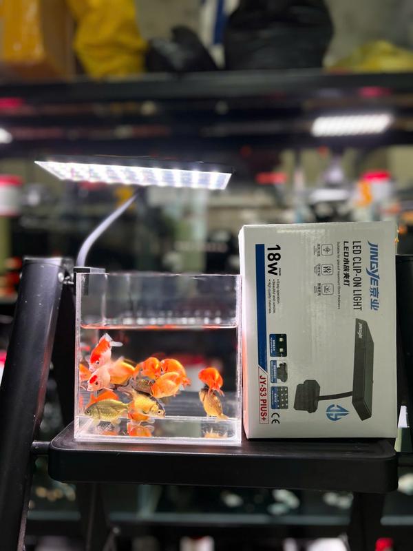 Đèn Led JY-S3 Plus+ - Đỏ Cá Không Đỏ Nước - Nhà Jingye - 18W 4