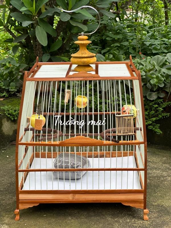 khung lồng tự ráp chào mào thái đấu , vuông đấu nóc chứ H 21 NAN CÁP QUANG , KHUNG TRE TBtm kèm dầu bóng chống mốc