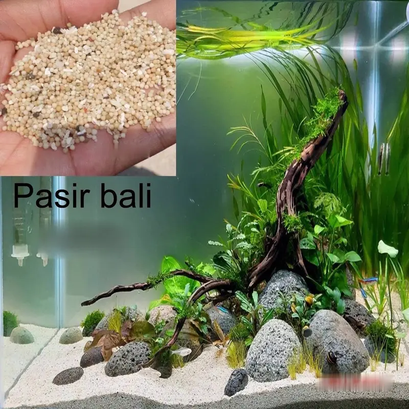 Pasir Bali Aquarium Aquascape Pasir Pantai 1kg 0