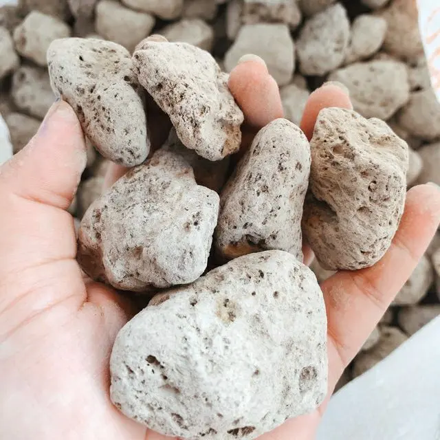 [Vật Liệu Lọc] 500g Đá Lông Vũ Lọc Hồ Cá - Nham Thạch Trắng Dùng Để Trang Trí Bể Cá 0