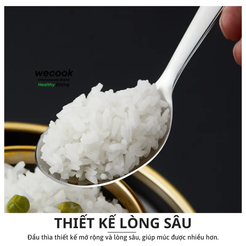 Thìa Inox 304 ăn cơm, phở lòng sâu cán dài trơn WECOOK cao cấp sáng bóng bền đẹp (BA39) 3
