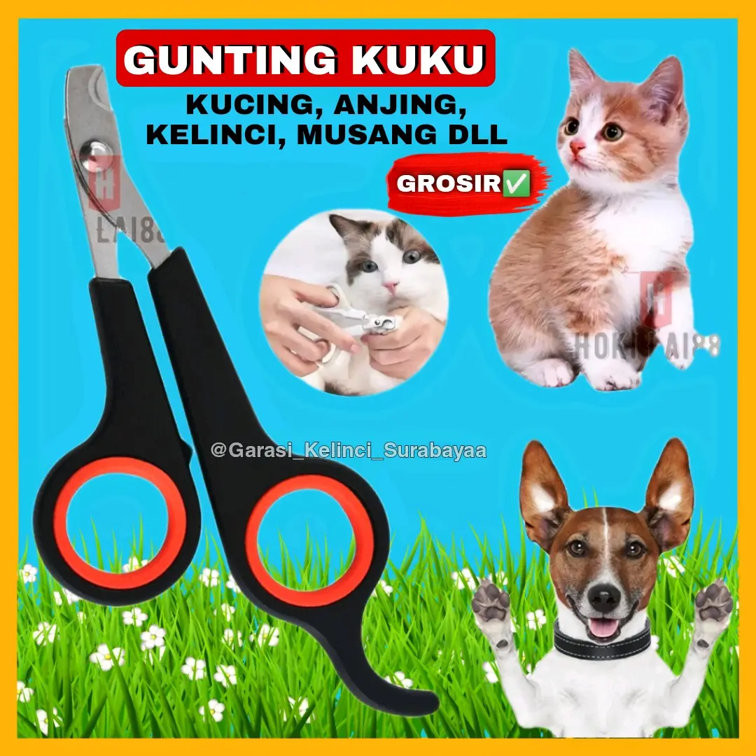 Gunting Kuku Kucing Gunting Kuku Anjing Kecil Pet Nail Clipper Gunting Kuku Hewan