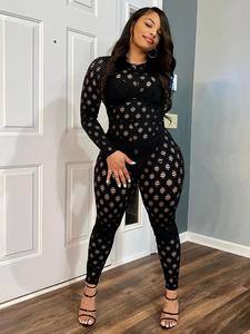 Women's Plain Hollow Out Sheer Zipper Back Skinny Jumpsuit, Casual Long Sleeve Round Neck Jumpsuit for Summer, Women's Clothes for Daily Wear